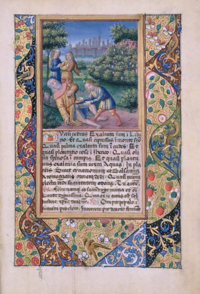 Bayan Lat. Q.v.I.126 fol.17 Nuh