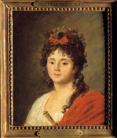 Jean Francois Garneray
