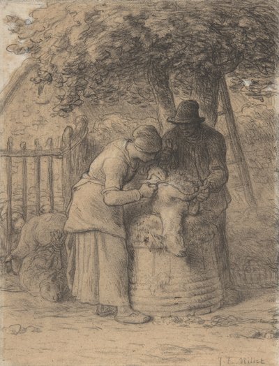 Ağacın Altında Koyun Kırkımı, 1854 dolayları (kağıt üzerine kalem ve kahverengi mürekkep ve guaj ile conté mum boya) by Jean Francois Millet