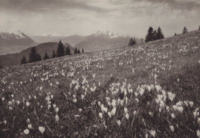 Rigi Kaltbad, Fruhling (s/b fotoğraf) by Jean Gaberell