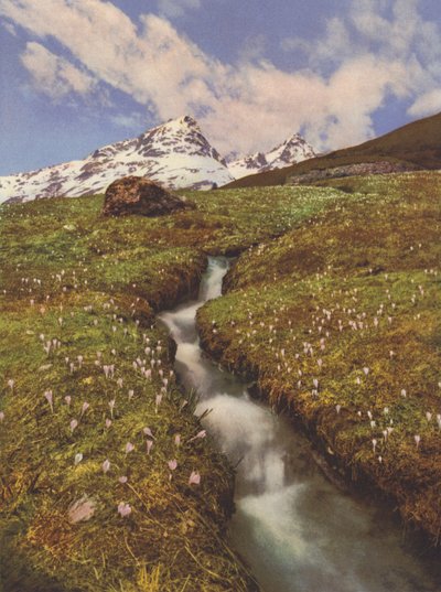 İsviçre: Yukarı Engadine
