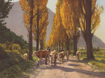 İsviçre: Visp yakınlarındaki Rhone Vadisi (renkli fotoğraf) by Jean Gaberell