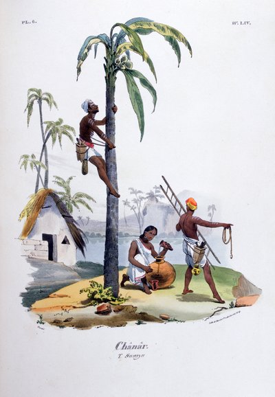 Çanar, 1828 by Jean Henri Marlet