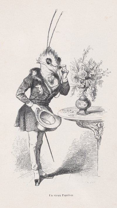 Hayvanların Özel ve Kamusal Yaşamından Sahnelerden Eski Bir Kelebek, M.Ö. 1837-47. by Jean Ignace Isidore Gérard