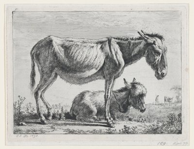 Jenny, Tayıyla, 1797. by Jean Jacques de Boissieu