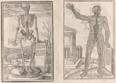 İnsan vücudunun bölümlerinin diseksiyonu by Jean Jollat