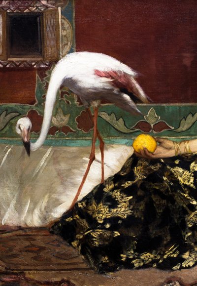 Pembe Flamingo (detay) by Jean Joseph Benjamin Constant