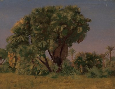 Palmiye Ağaçları Çalışması, muhtemelen 1868. by Jean Leon Gerome