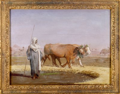 Mısır