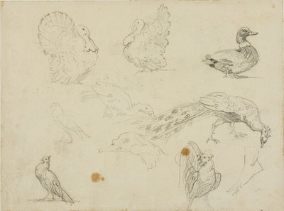  by Jean Louis André Théodore Géricault