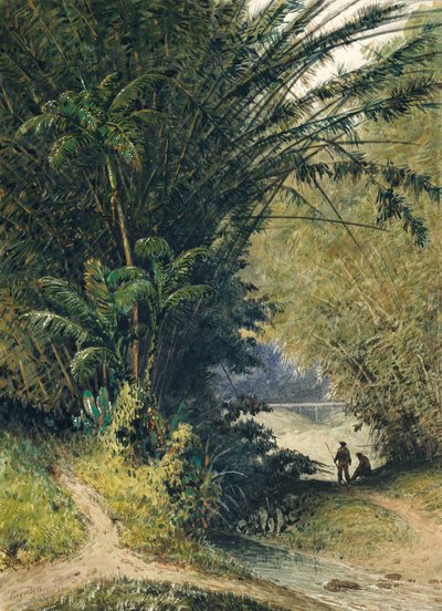 Trinidad