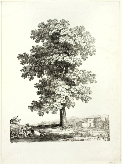 Bir Ağacın İncelenmesi by Jean Victor Bertin
