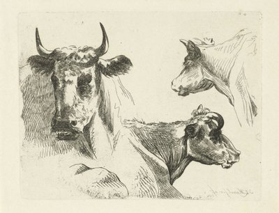 Üç inek başı by Jean Zacherie Mazel