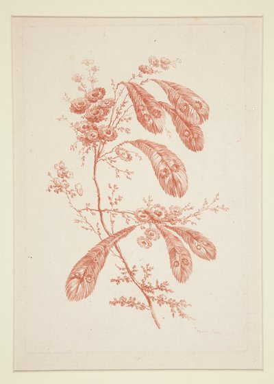 İsimsiz (İdeal Çiçekler), altılı setten by Jeanne Deny