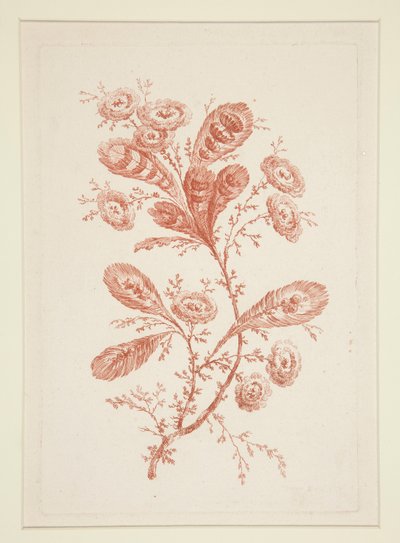 İsimsiz (İdeal Çiçekler), altılı setten by Jeanne Deny