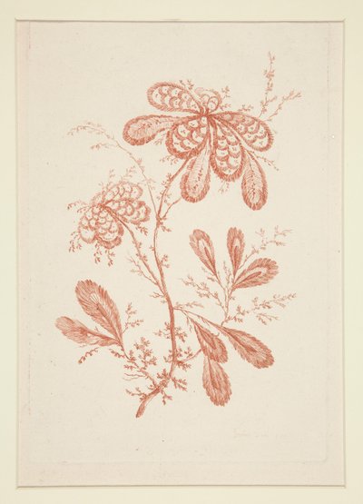 İsimsiz (İdeal Çiçekler), altılı setten by Jeanne Deny