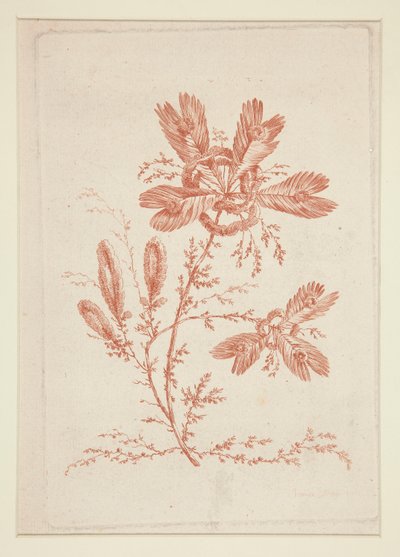 İsimsiz (İdeal Çiçekler), altılı setten by Jeanne Deny