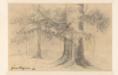 Ağaçlar ile manzara by Jeanne Marie Heynsius (signed by artist)