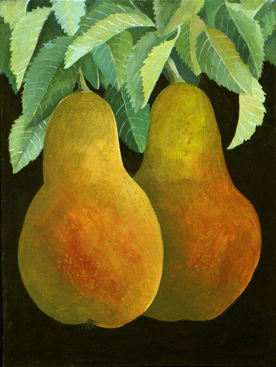  by Jennifer Abbott