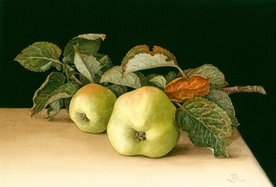 Bramley'ler by Jenny Barron