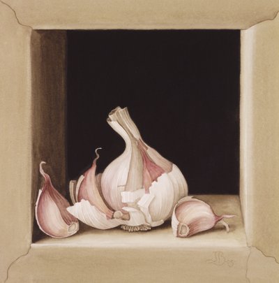 Sarımsak, 2005 (kağıt üzerinde wc) by Jenny Barron