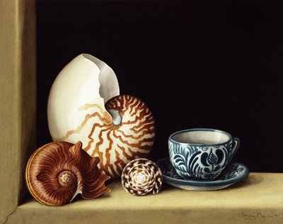 Nautilus ile natürmort, 1998 (kağıt üzerinde wc) by Jenny Barron