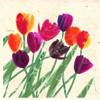 HOLLANDA GÜZELLERİ by Jenny Frean