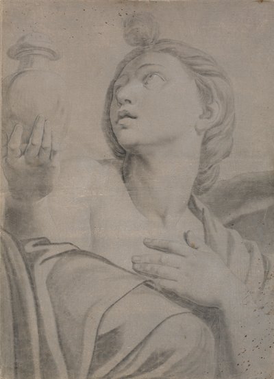 Venus Persephone