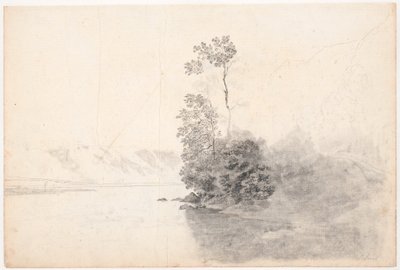 Bir gölde bir deniz yosunu üzerinde ağaçlar ile İsviçre yatay by Jens Juel