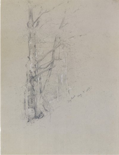 Kuru Brook, 1888. by Jervis McEntee