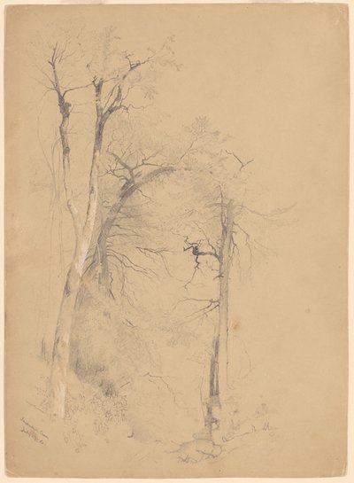 kauterskill karanfil by Jervis McEntee