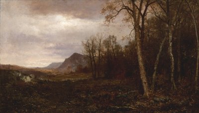 ಓವರ್ ದಿ ಹಿಲ್ಸ್ ಮತ್ತು ಫಾರ್ ಅವೇ, 1878 ಟರ್ಕ್ by Jervis McEntee
