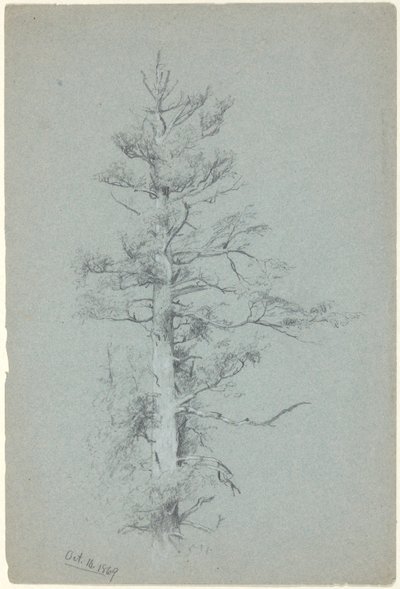Ağaç Çalışması by Jervis McEntee