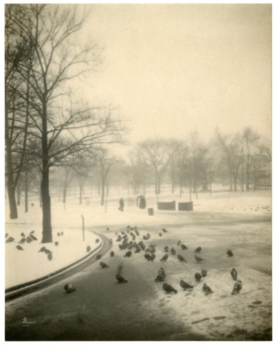 Boston Common, Boston, ABD, c.1902-10 by Jessie Tarbox Beals