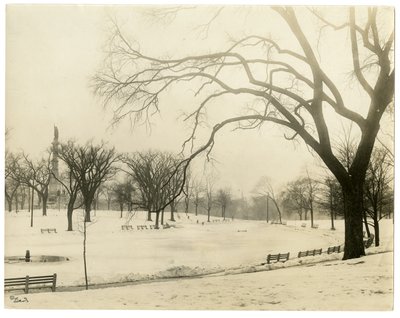 The Common, Boston, USA, c.1902-10 (gelatin silver photo) by Jessie Tarbox Beals
