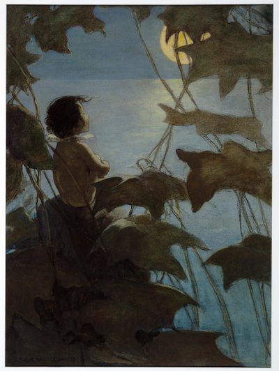 Geniş sarı aya baktı ve Charles Kingsley tarafından yazılan The Water Babies, pub