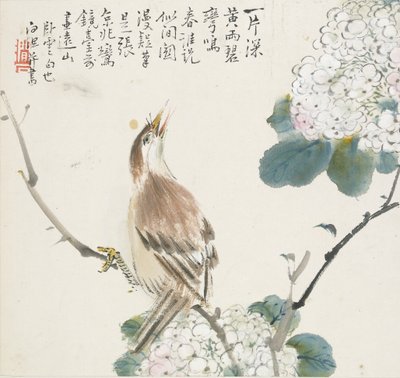Bir Çinli Hwamei, 1857 by Jin Yuan