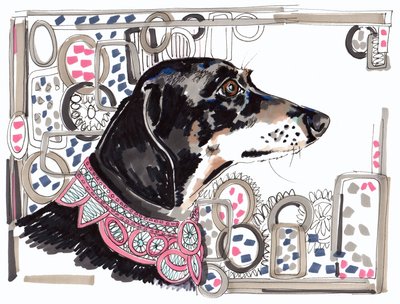 Lacey The Dachshund, 2013, (kalem, kağıt üzerine mürekkep) by Jo Chambers