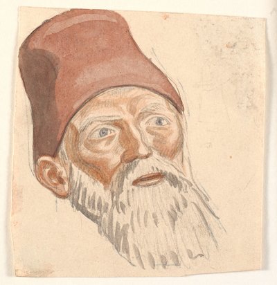 Sakal yaşlılık başkanı araştırması by Joakim Frederik Skovgaard