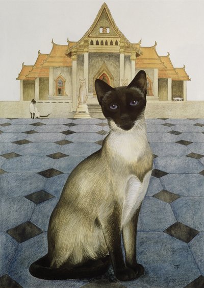 Siyam by Joan Freestone