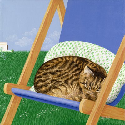 Tekir kedi şezlongda uyuyor by Joan Freestone