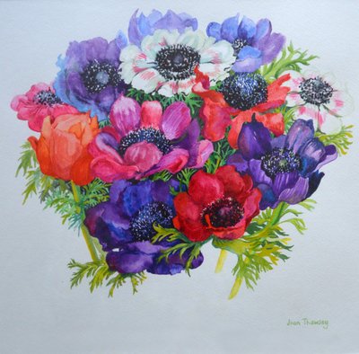 Anemonlar: kırmızı, beyaz, pembe ve mor, 2000, by Joan Thewsey