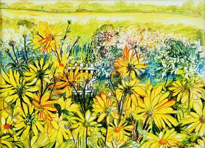 Sun Daisies
