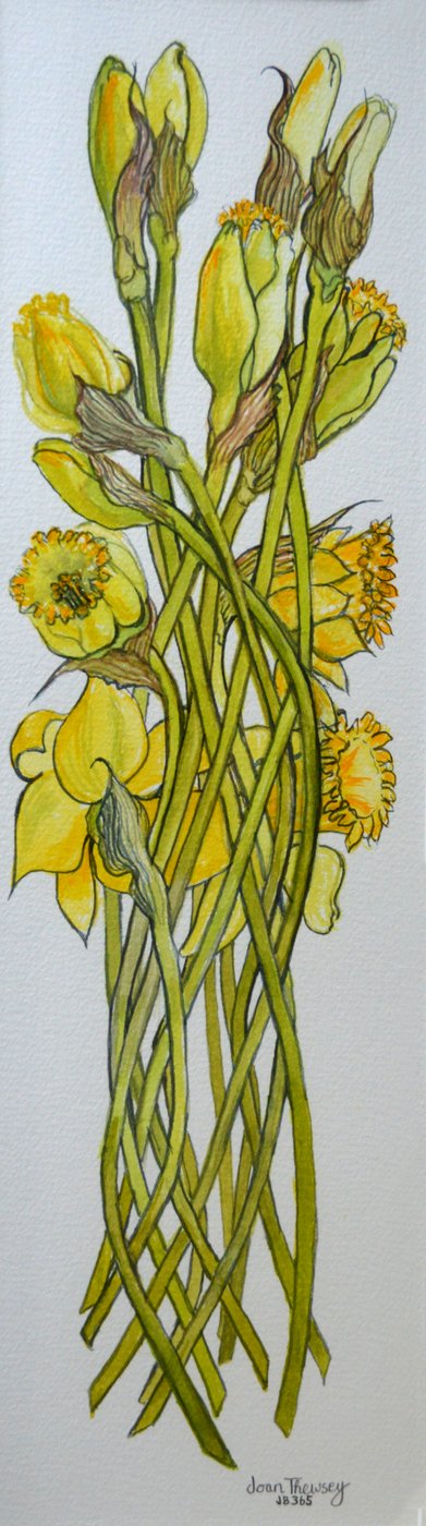 Nergis,2008, by Joan Thewsey