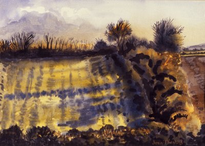 Uzun Gölgeli Alan, 1990, el yapımı kağıt üzerine sulu boya by Joan Thewsey