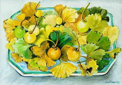 Ginkgo,meyve ve Yapraklar,2010, suluboya by Joan Thewsey