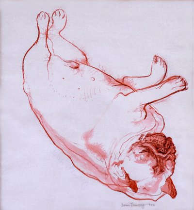 Hogarth Sleeping, 2005, (ıslak kağıt üzerine mürekkep) by Joan Thewsey
