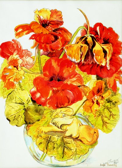 Nasturtiums,2005,(sulu boya) by Joan Thewsey