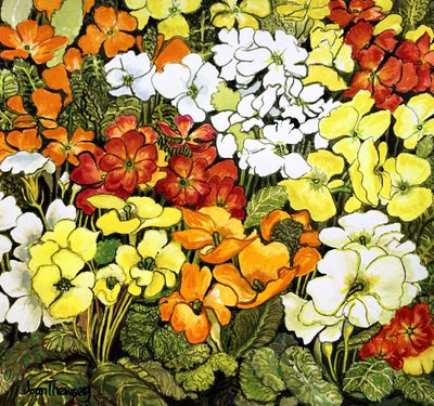 Primrose Bordür, beyaz, sarı, turuncu ve kırmızı çuha çiçeği (sulu boya) by Joan Thewsey