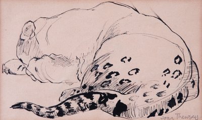 Sketch, Leopard, London Zoo 2005, (kalem ve mürekkep) by Joan Thewsey